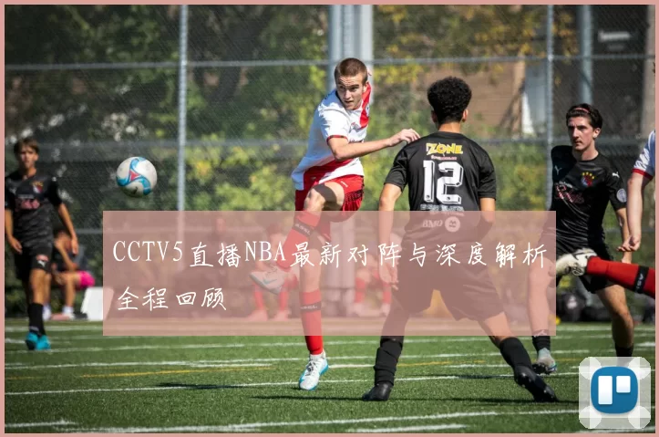 CCTV5直播NBA最新对阵与深度解析全程回顾